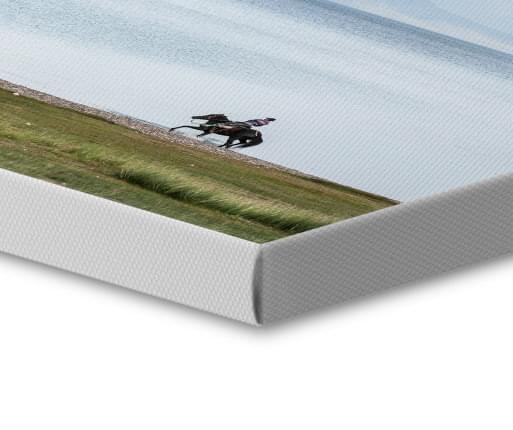 foto canvas vit kant